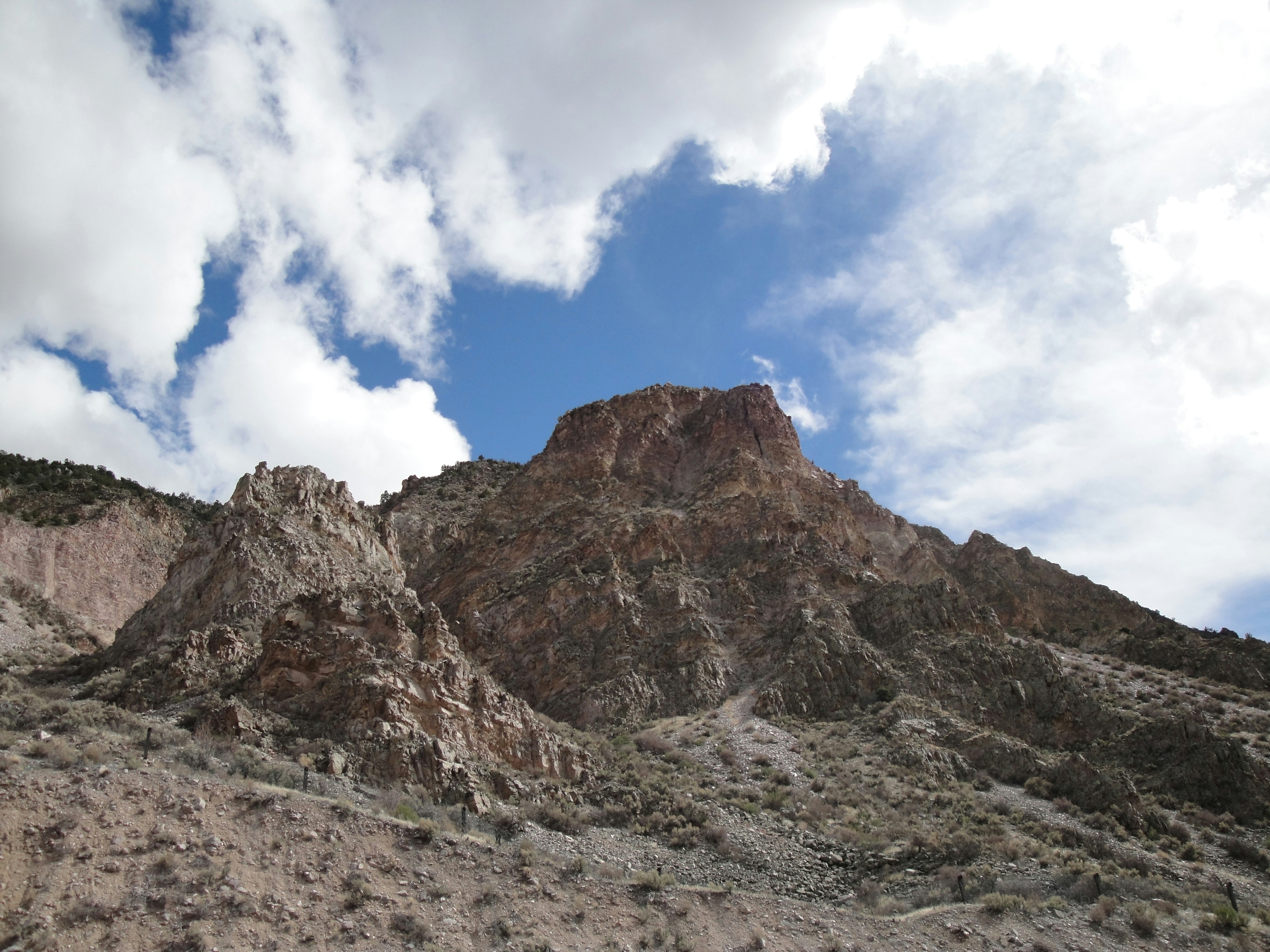 Free Unsplash photo from Linda Berardi