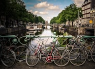 assorted-color bicycles park beside blue rails near river