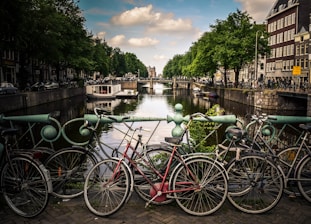 assorted-color bicycles park beside blue rails near river