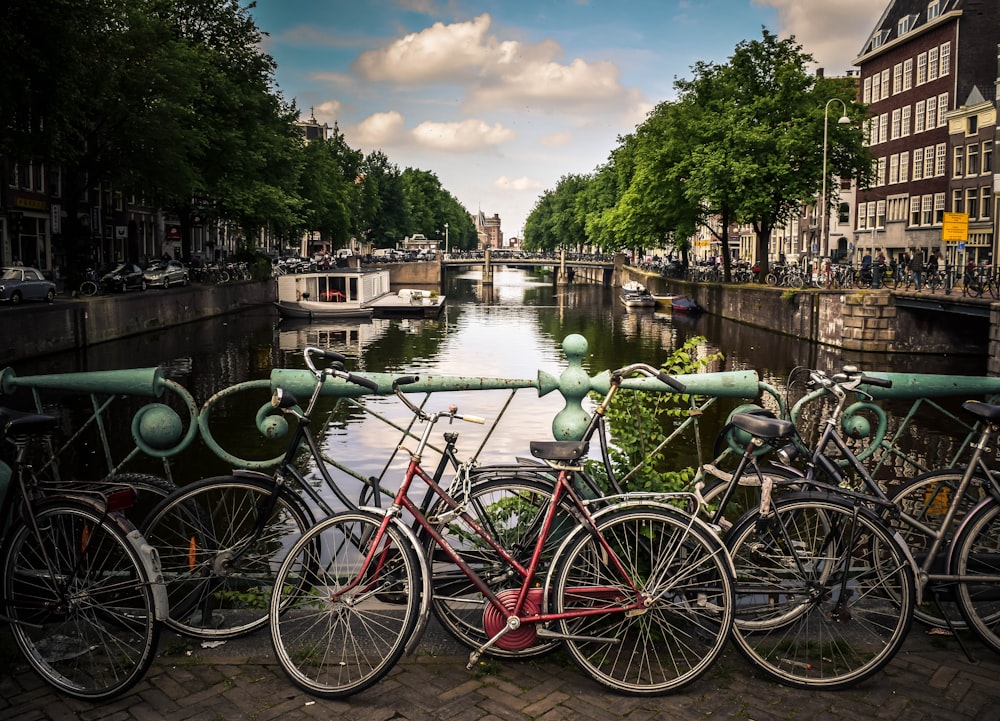 Le biciclette di colore assortito parcheggiano accanto alle rotaie blu vicino al fiume