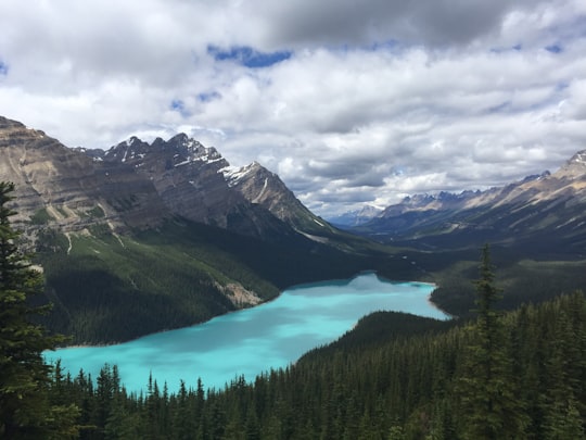 photo of Alberta Glacial lake near Icefields Parkway