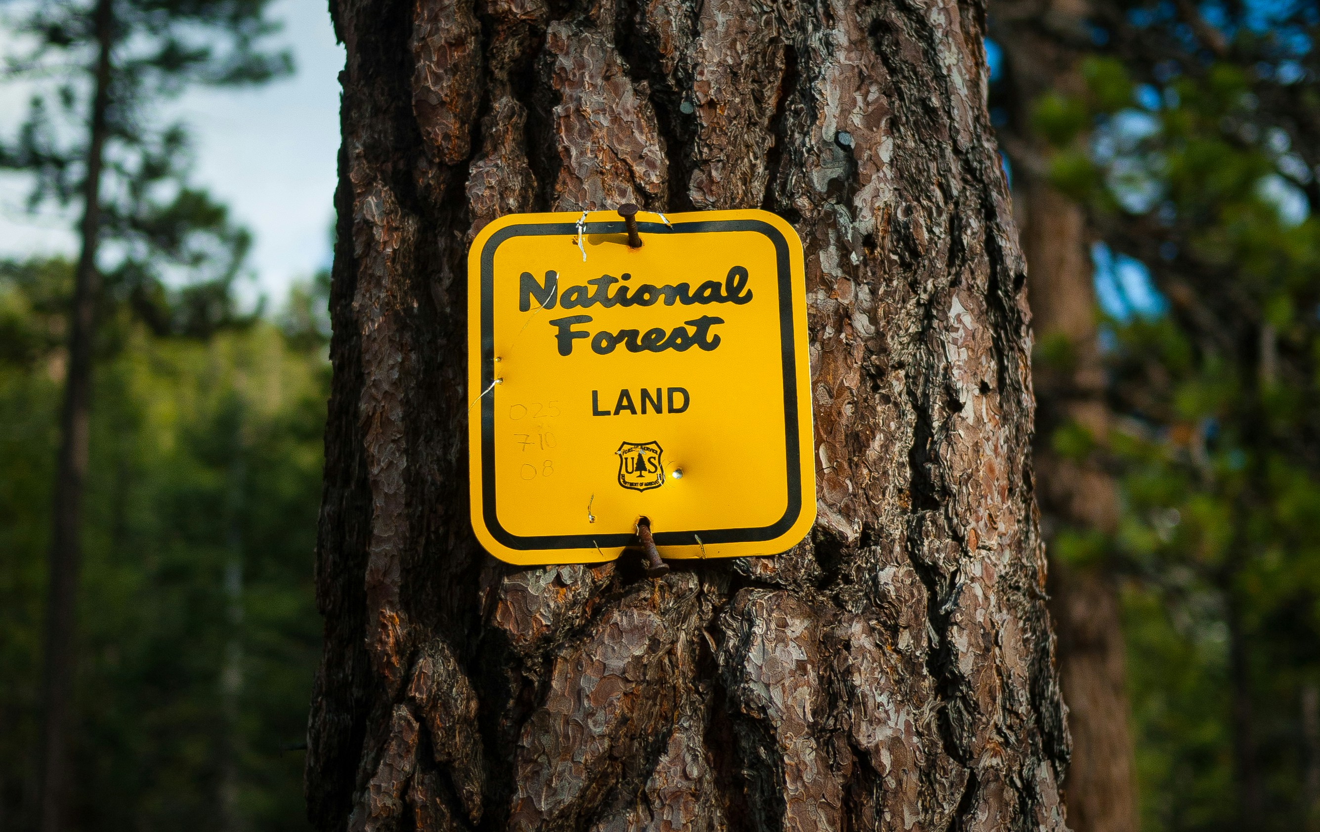 Free Unsplash photo from Nicolas Prieto