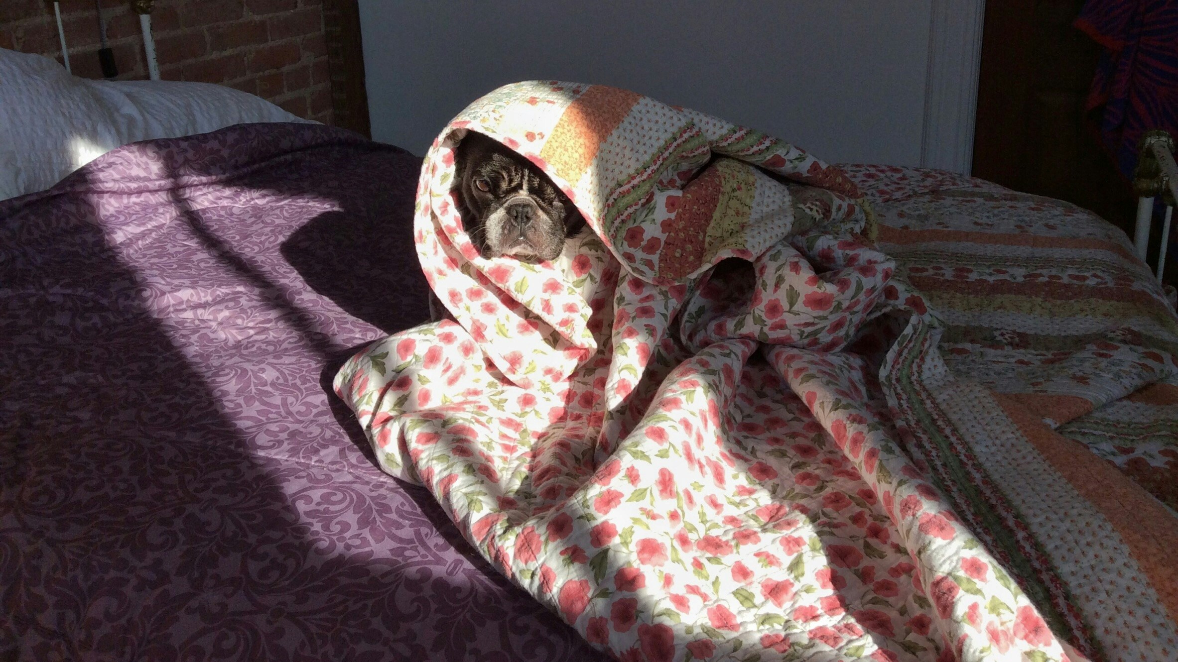 Free Unsplash photo from Maria Soledad