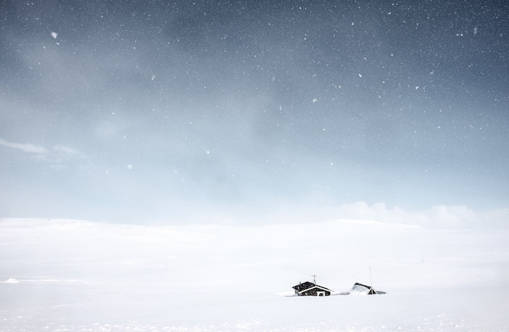 snow covered house