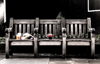 A wooden bench labeled 'City of London' stands in the foreground, with a slightly weathered appearance. On the left side of the bench, there is a disposable coffee cup and a rolled-up newspaper. In the center, a soda cup is placed. The background features dark foliage, adding contrast to the simplicity of the bench.