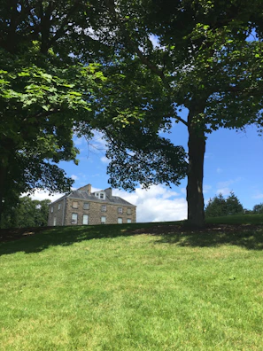 Family enjoying a peaceful moment in the spacious stone house garden.