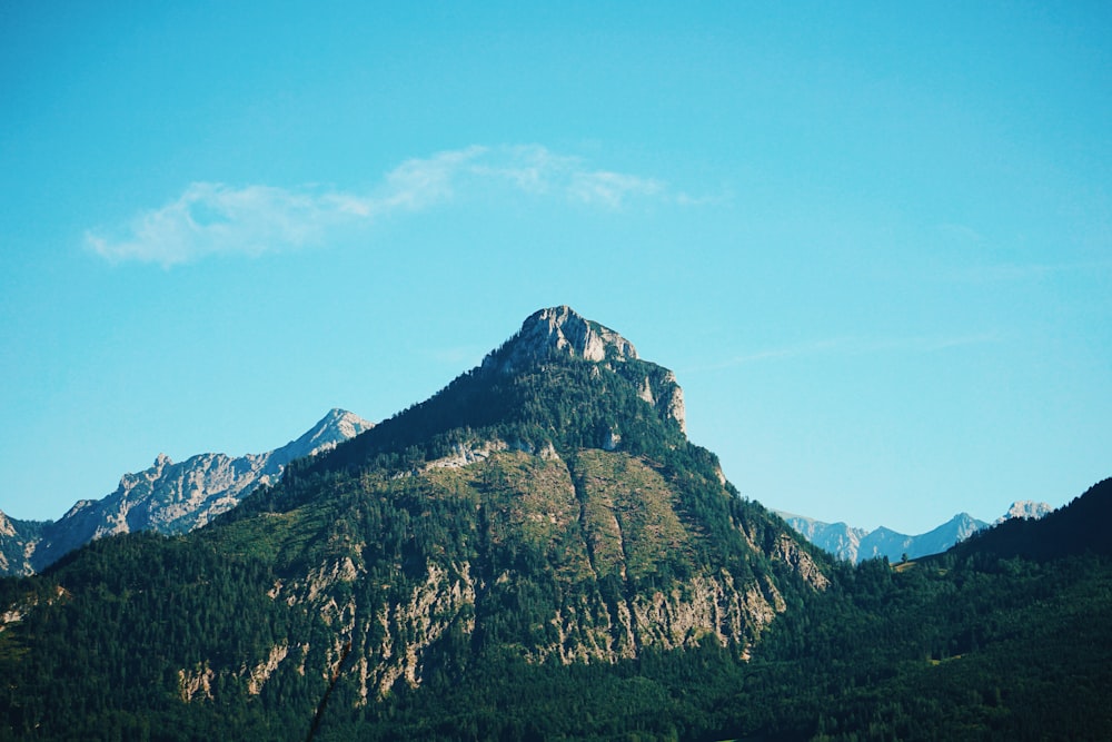 montanha coberta por árvores e plantas