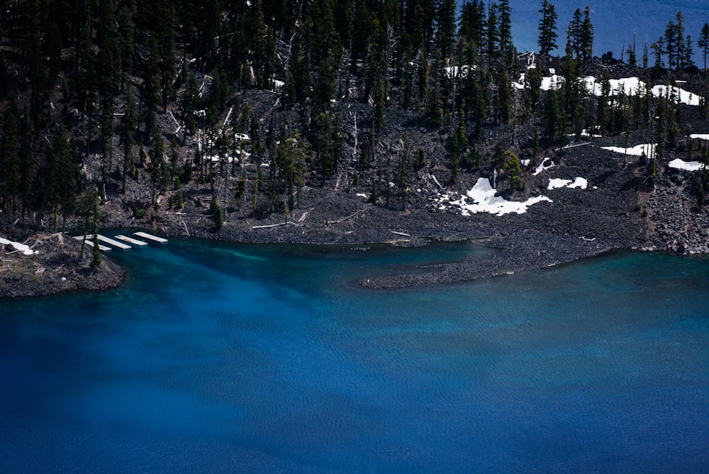 black sand beach with green trees near at body of water