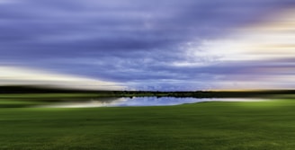 green grass field