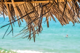 brown coconut hut near sea during daytime