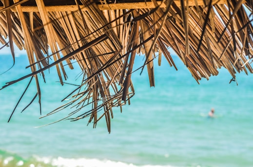 brown coconut hut near sea during daytime
