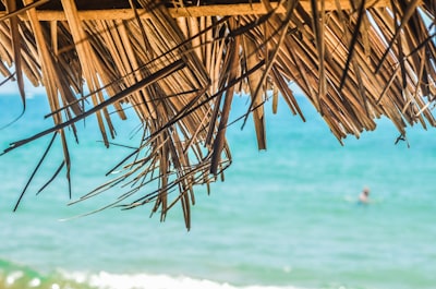 brown coconut hut near sea during daytime summertime google meet background