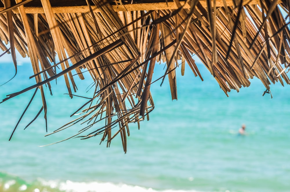 brown coconut hut near sea during daytime