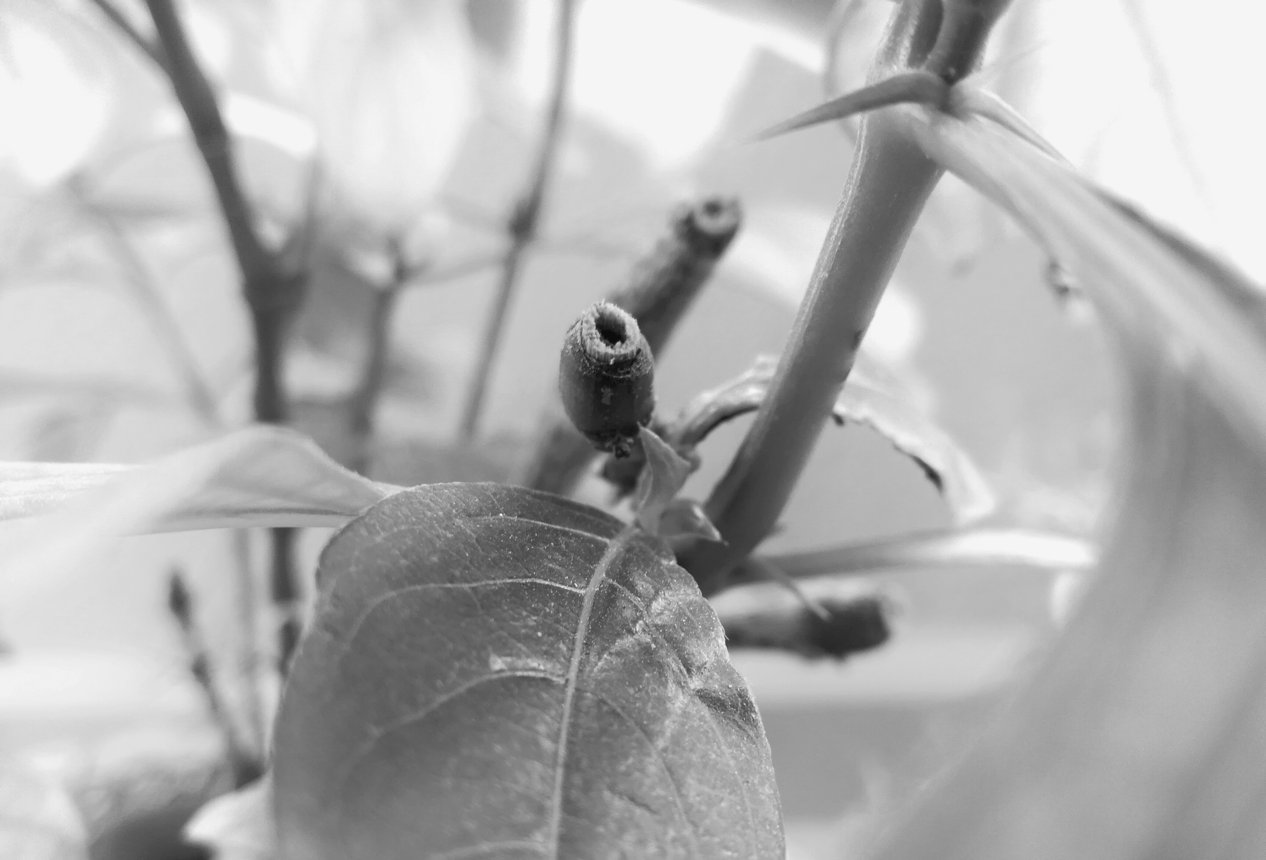 Free Unsplash photo from Vikram Kshatriya