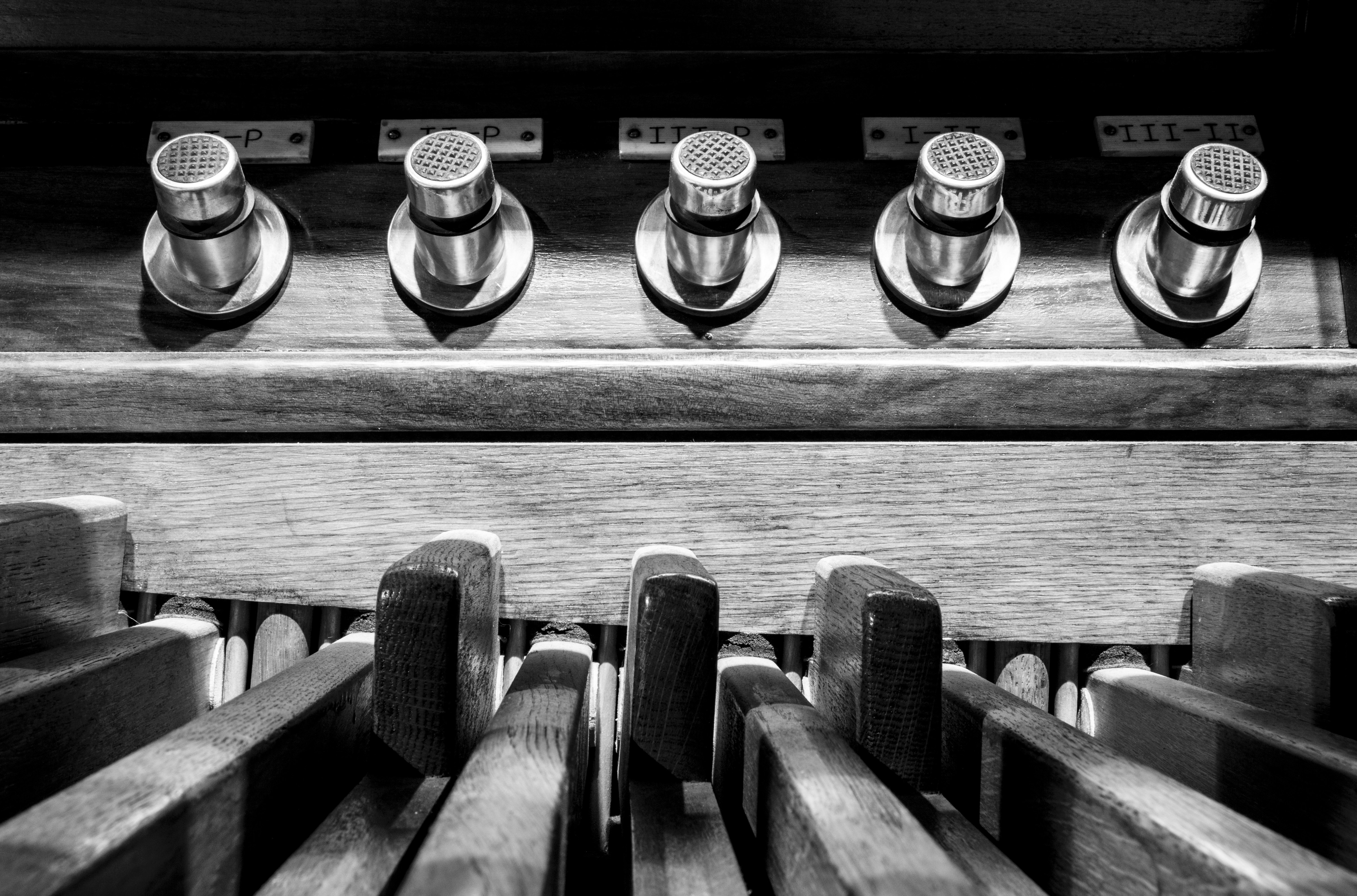 Free Unsplash photo from Dolo Iglesias