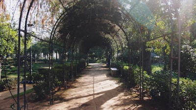 A serene pathway winding through a quiet garden, inviting reflection.