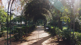 A peaceful garden path bathed in soft morning light, inviting rest and reflection.