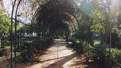A peaceful garden path inviting a contemplative walk during a session break.