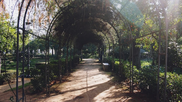A serene garden pathway covered by an overhead archway, surrounded by lush green trees and plants. Sunlight filters through the leaves, creating dappled patterns on the dirt path. There is a bench along the side, inviting rest and contemplation.
