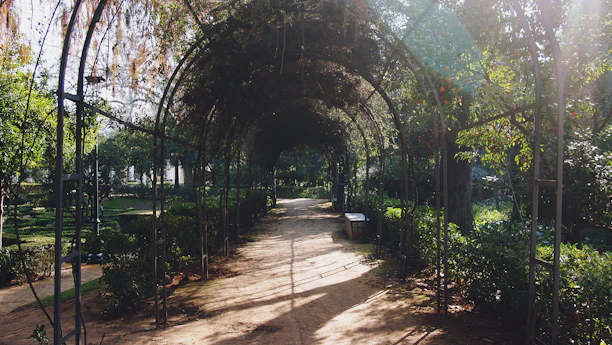 A peaceful outdoor garden corner with gentle sunlight filtering through leafy trees, inviting quiet reflection.