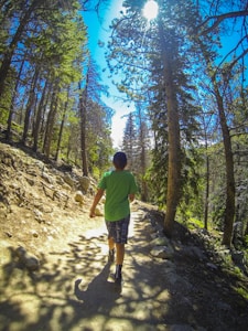 Guía de Caminatas