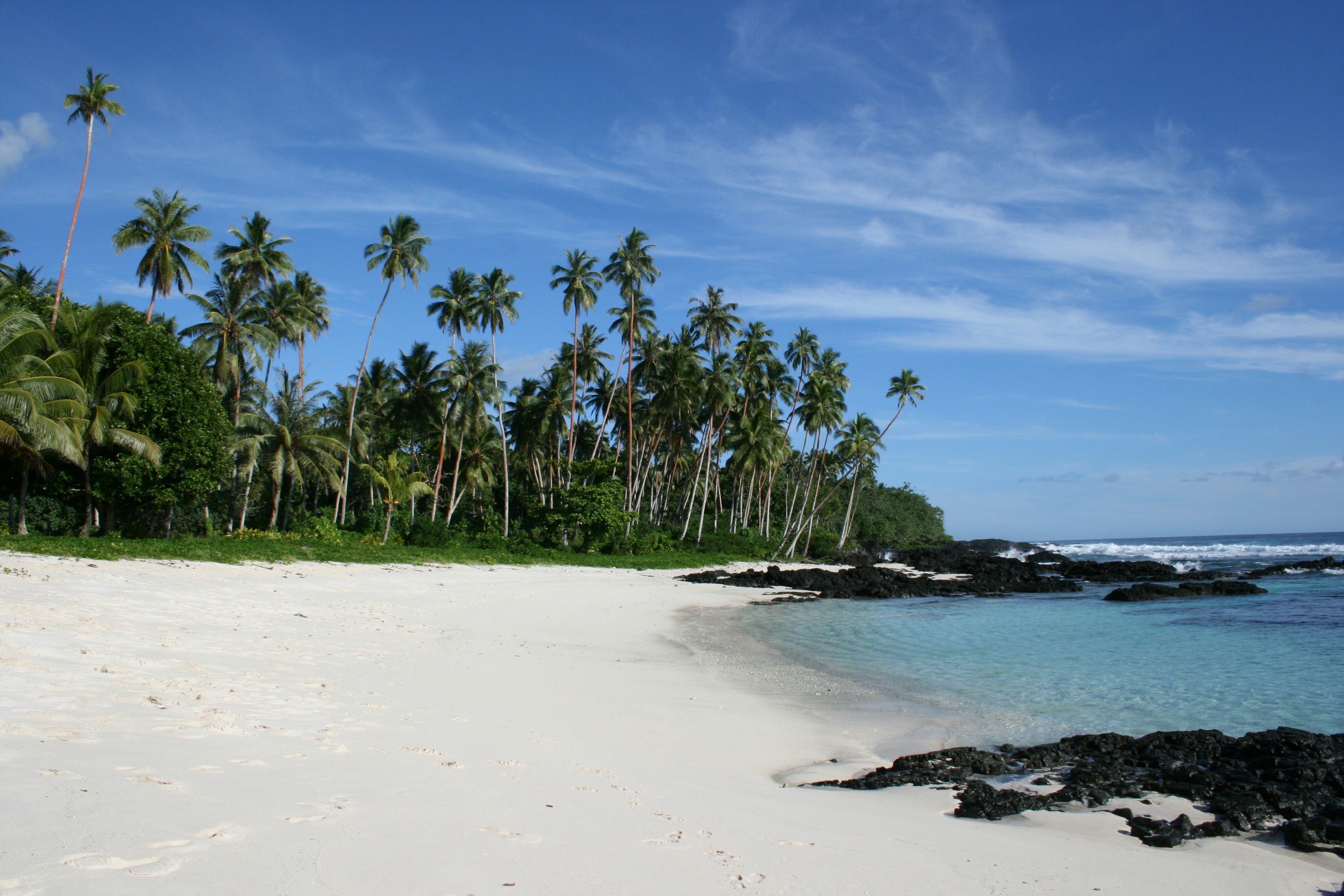 Free Unsplash photo from Matt Saxby