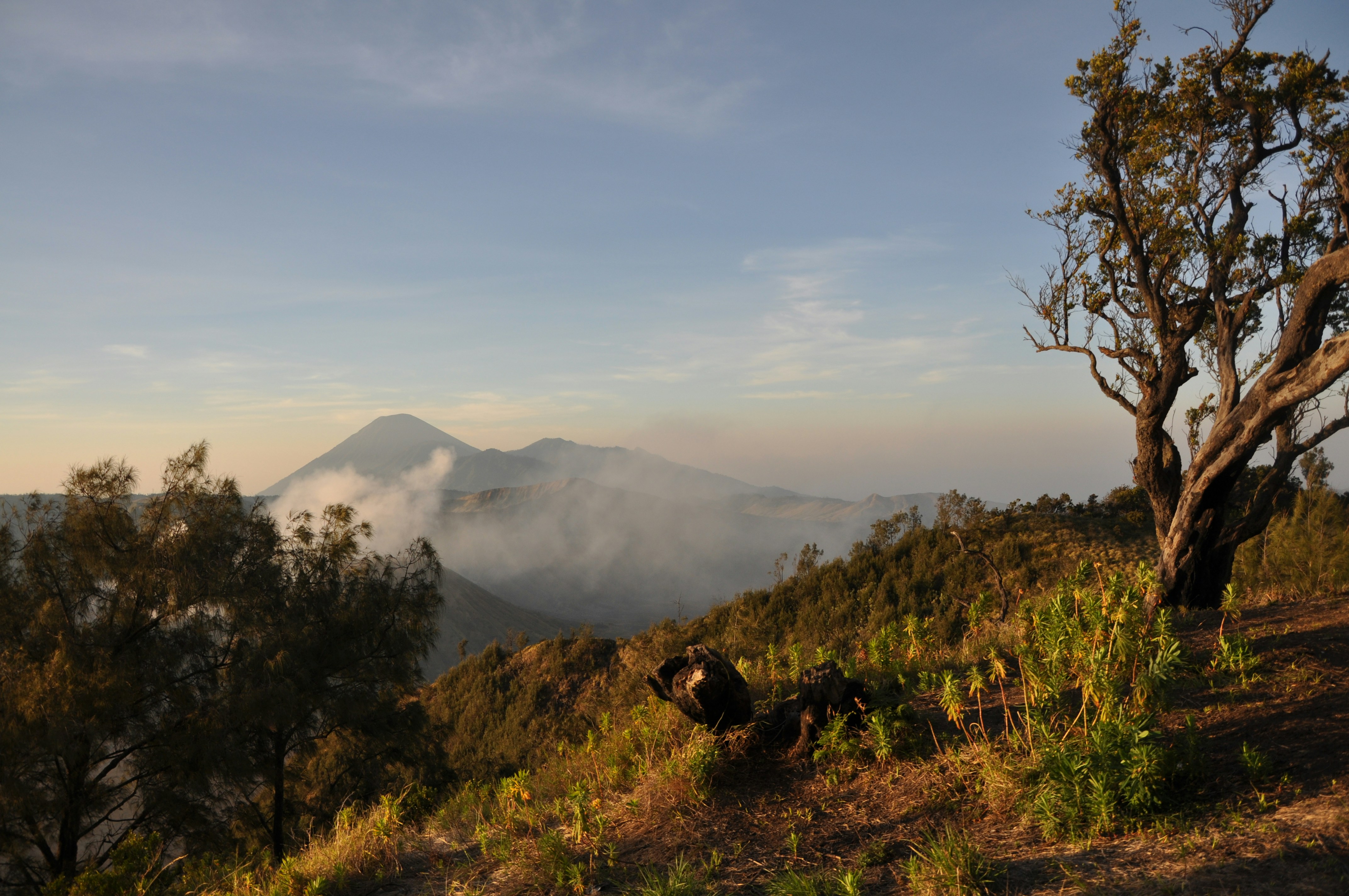 Free Unsplash photo from Matt Saxby