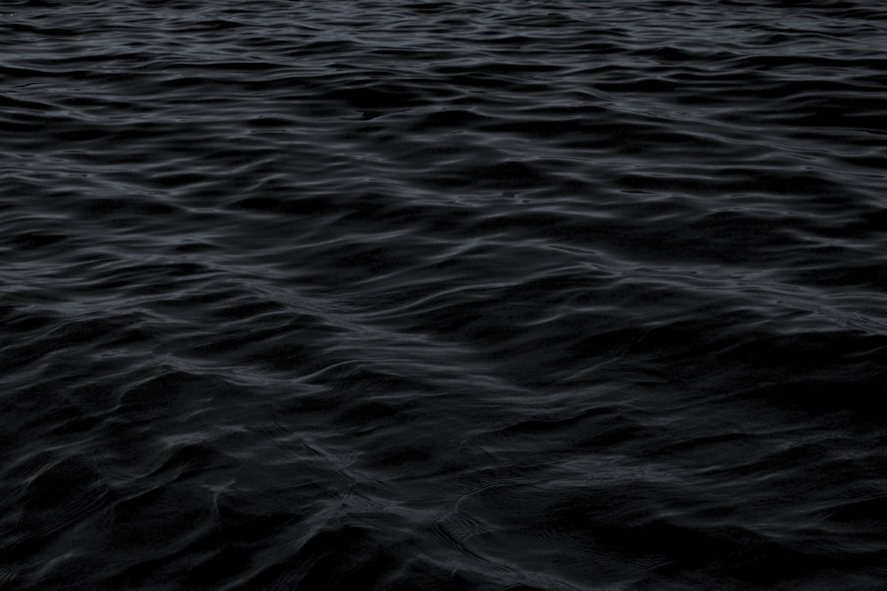 30k+ Black Water Pictures  Download Free Images on Unsplash