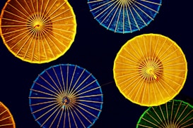 Photo 1468672218697 Bdfbffd00feb?q=85&w=273&h=462&fit=crop