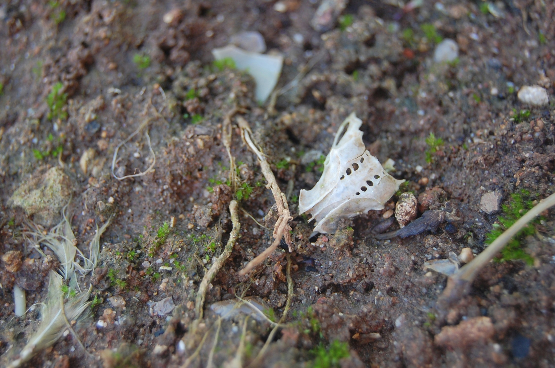 Free Unsplash photo from Nawfal Ri