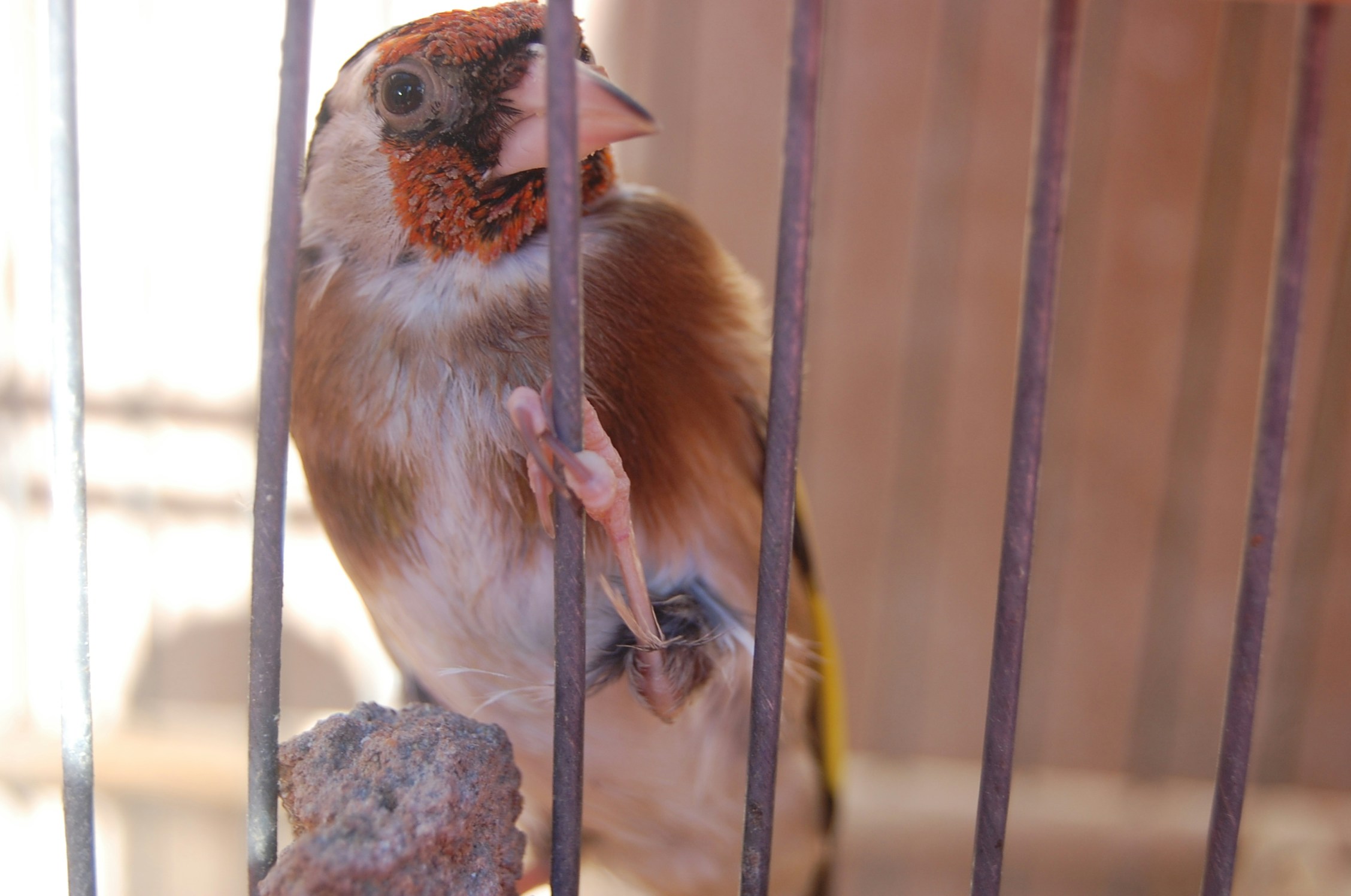 Free Unsplash photo from Nawfal Ri