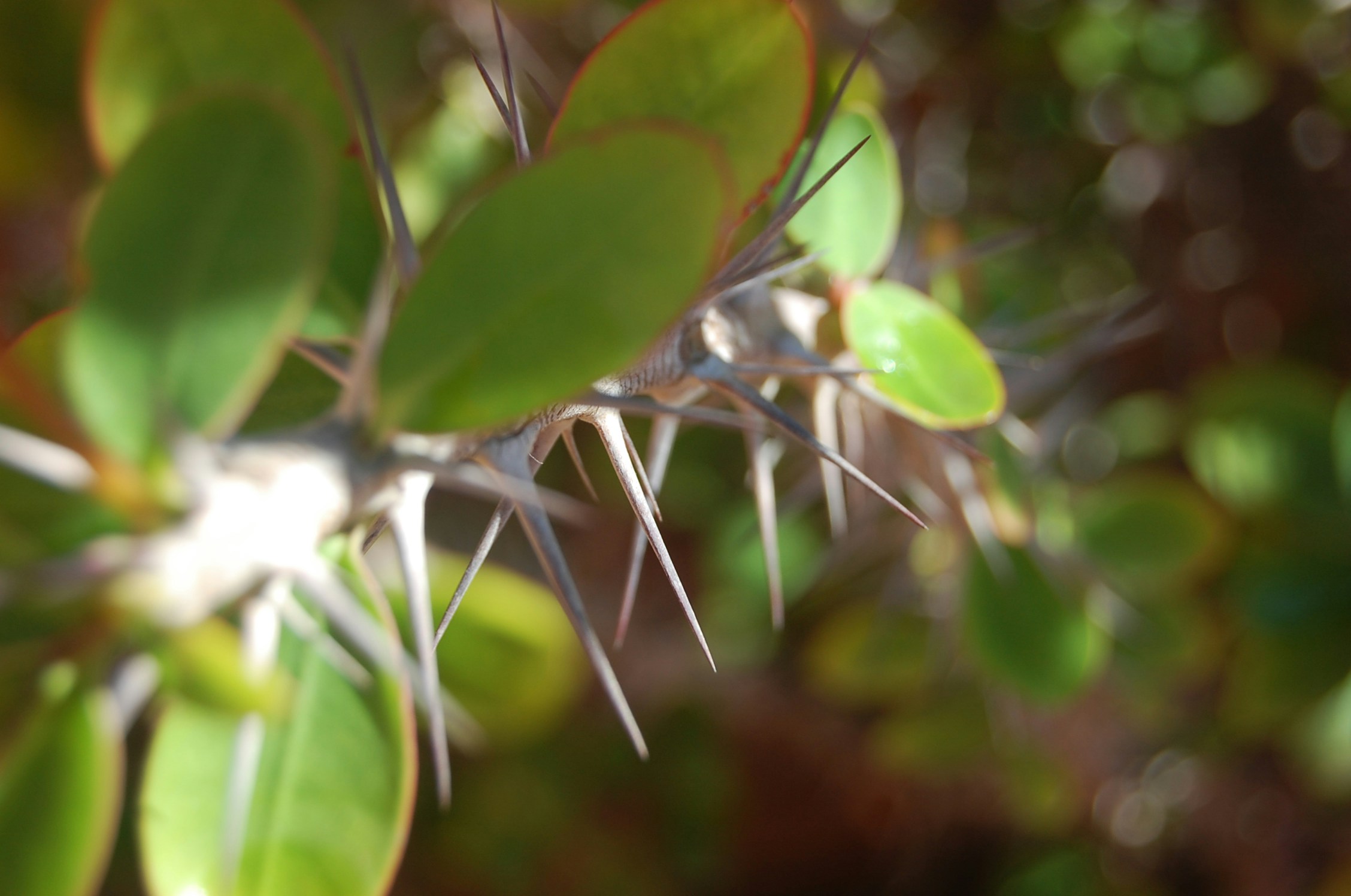 Free Unsplash photo from Nawfal Ri