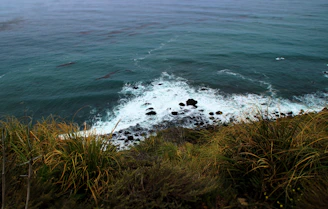 sea waves near grass during daytime