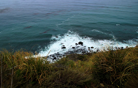 sea waves near grass during daytime