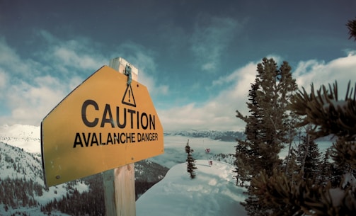 A large yellow warning sign indicating 'Caution Avalanche Danger' is prominently placed on a snowy mountain landscape. Towering evergreen trees flank the foreground, while expansive snow-covered peaks stretch across the horizon under a cloudy sky.
