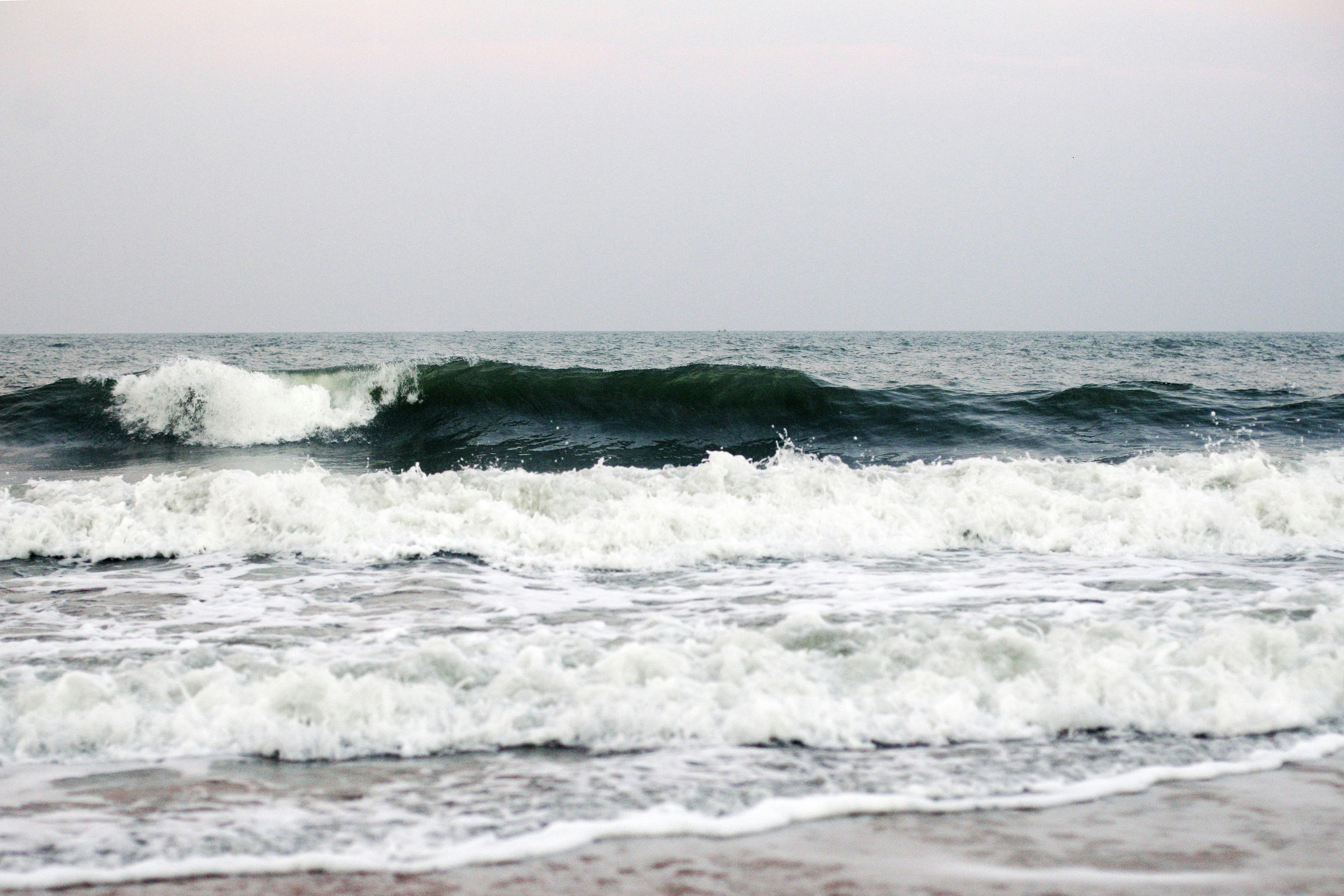 Free Unsplash photo from Karl Geldlich