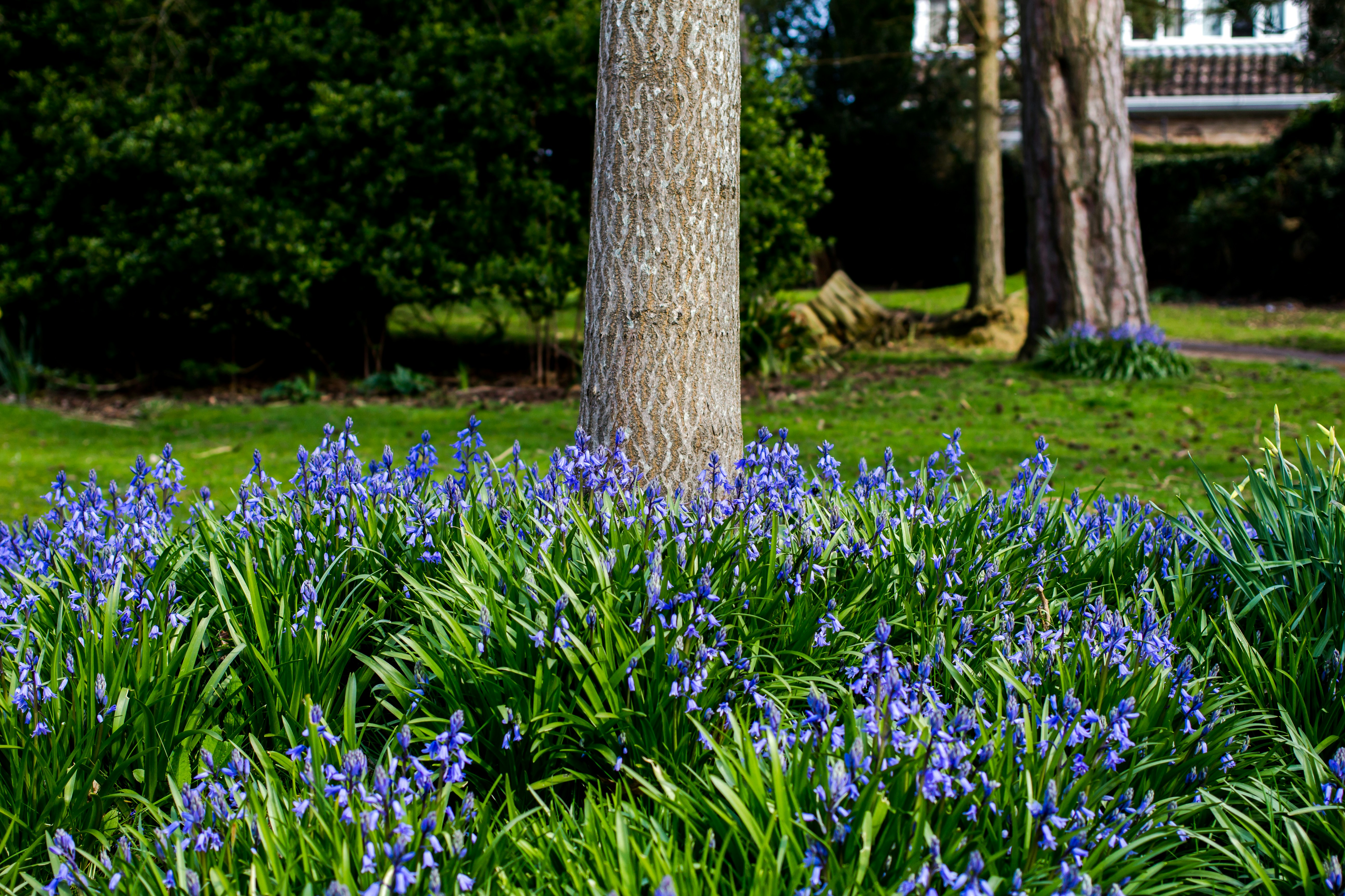 Free Unsplash photo from Luke Barnard