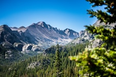 green trees and snow coered mountains