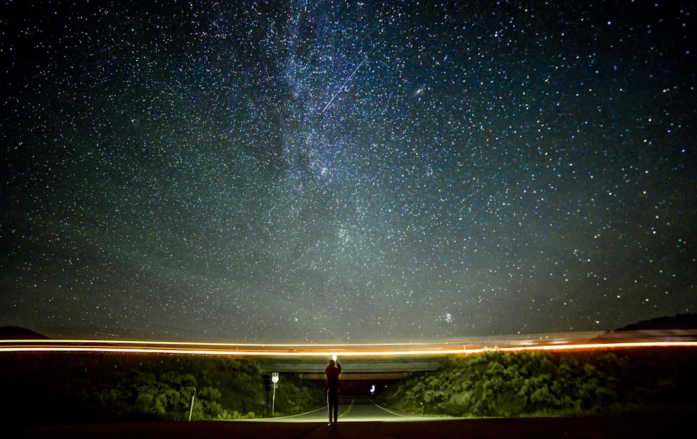 grey concrete road win between trees under night sky