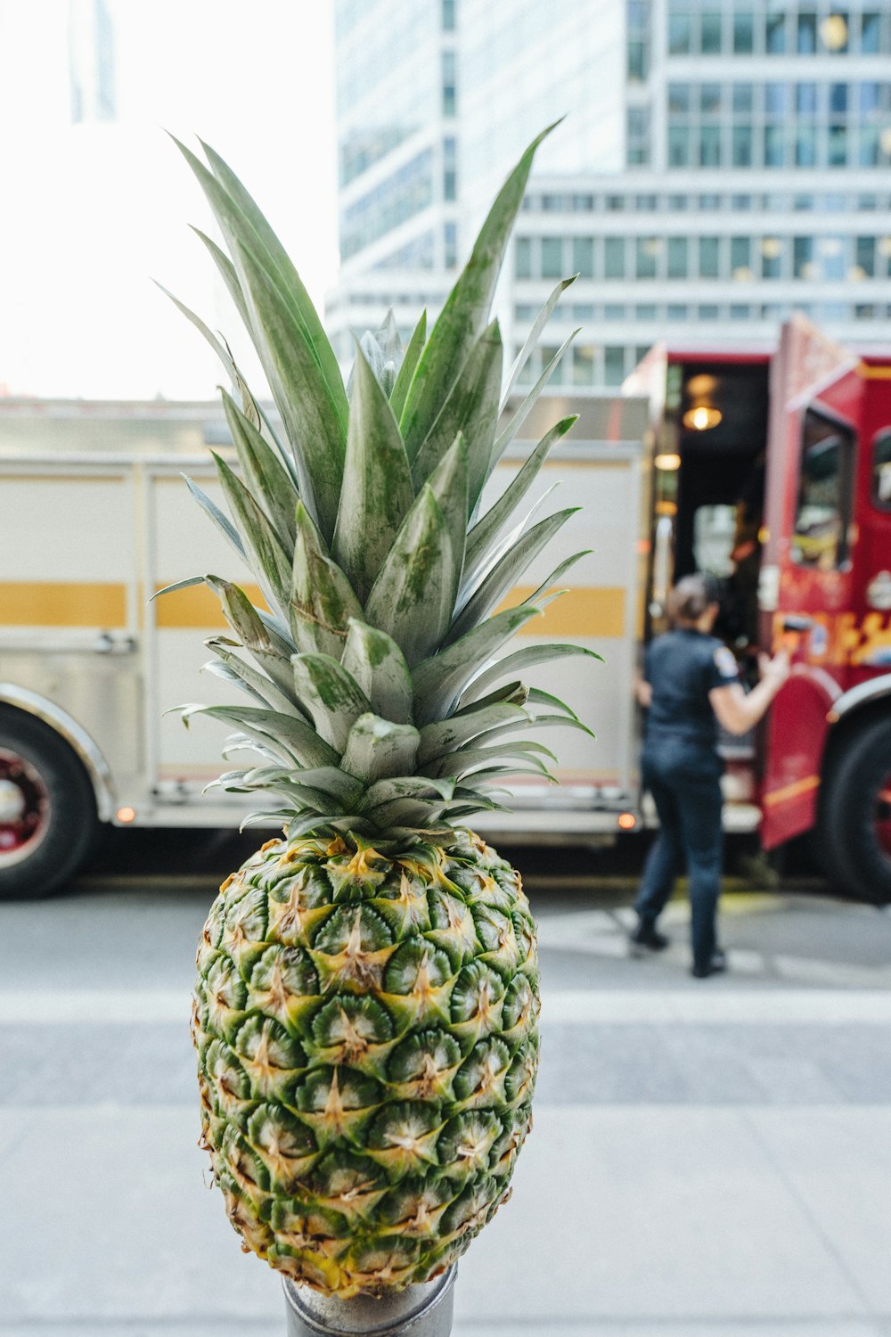 shallow focus photo of pineapple