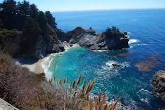 A picturesque coastal scene featuring a secluded cove with turquoise water surrounded by rugged cliffs. Lush greenery with tall trees crowns the cliffs, while the foreground shows some dry grasses and shrubs. The ocean is calm with small waves gently touching the sandy beach.