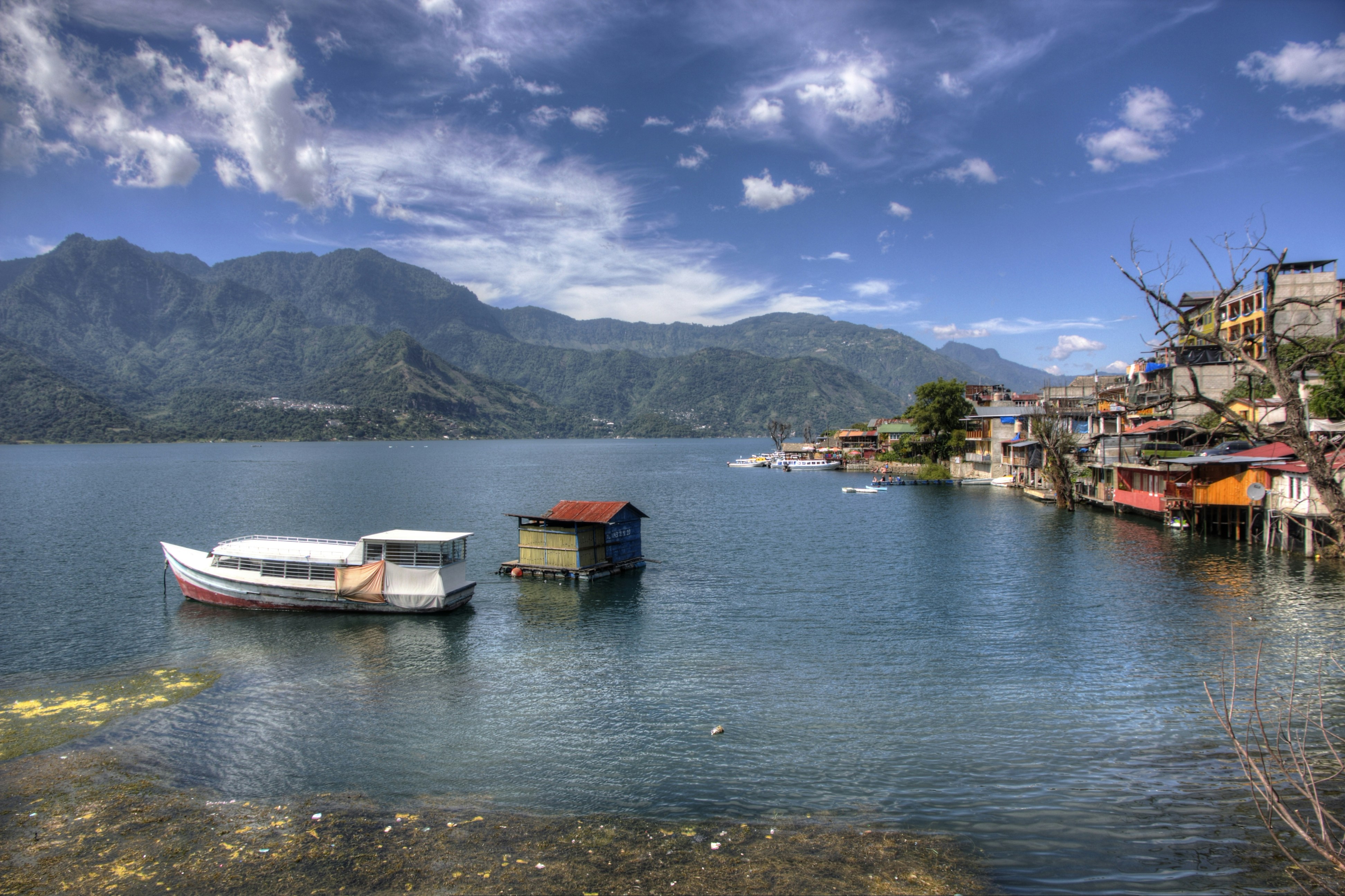 Free Unsplash photo from Ran Berkovich