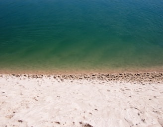white sand near green calm body of water at daytime