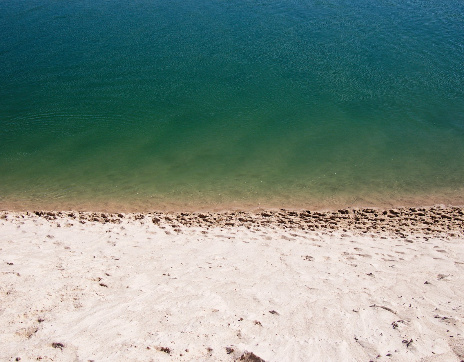 Olympus OM-D E-M5 + Panasonic Lumix G 20mm F1.7 ASPH sample photo. White sand near green photography