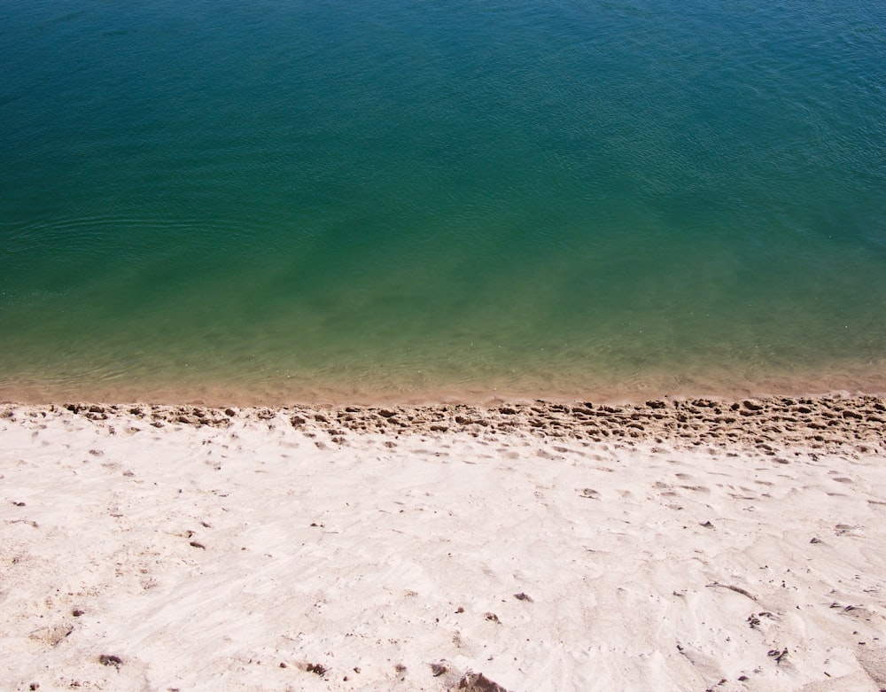 Arena blanca cerca de un cuerpo de agua verde y tranquilo durante el día