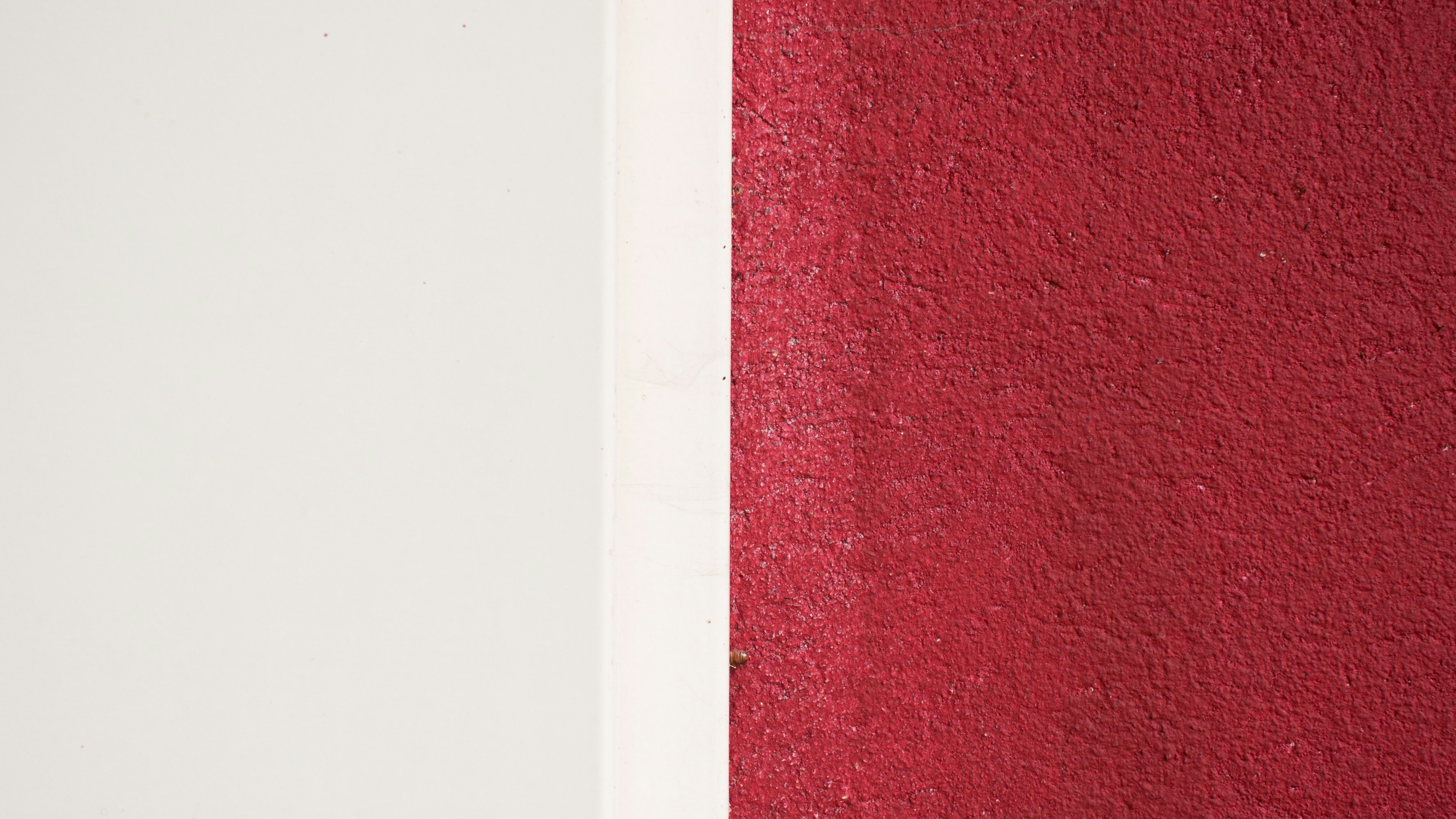 Free Unsplash photo from Janos Richter