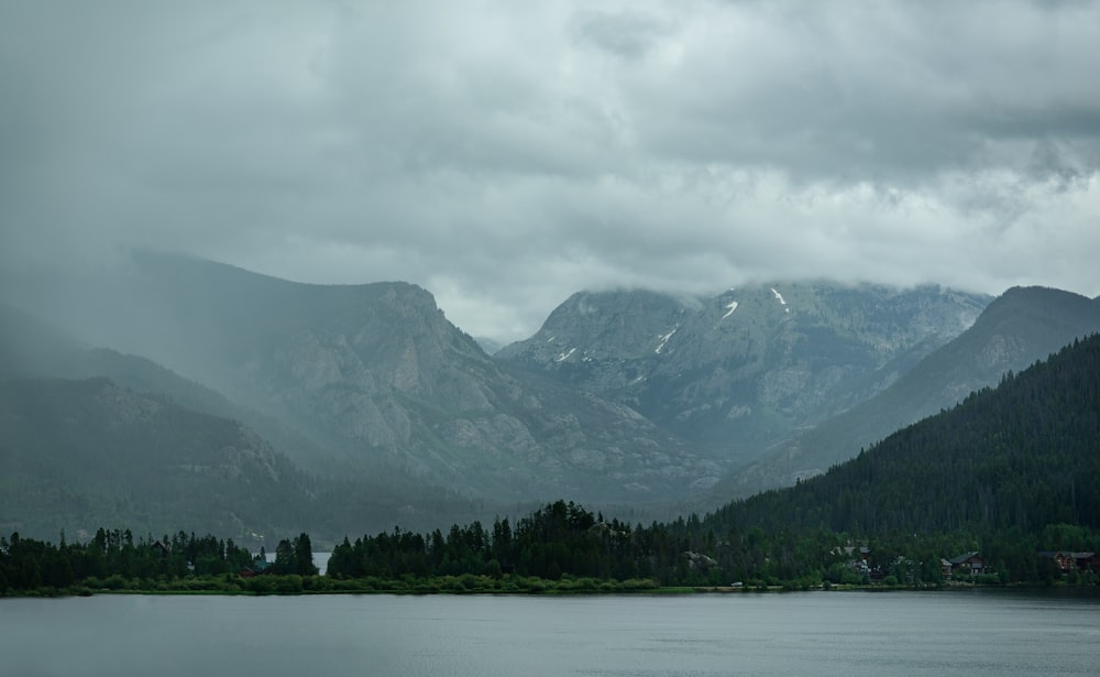 forest with mountain background under white clouds