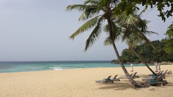 A serene beach scene with golden sand and calm turquoise waters. Palm trees sway gently in the breeze, providing shade near empty lounge chairs lined up along the shore. The sky is a soft gray, hinting at overcast weather. In the distance, a green, lushly vegetated hill adds to the tranquil atmosphere.