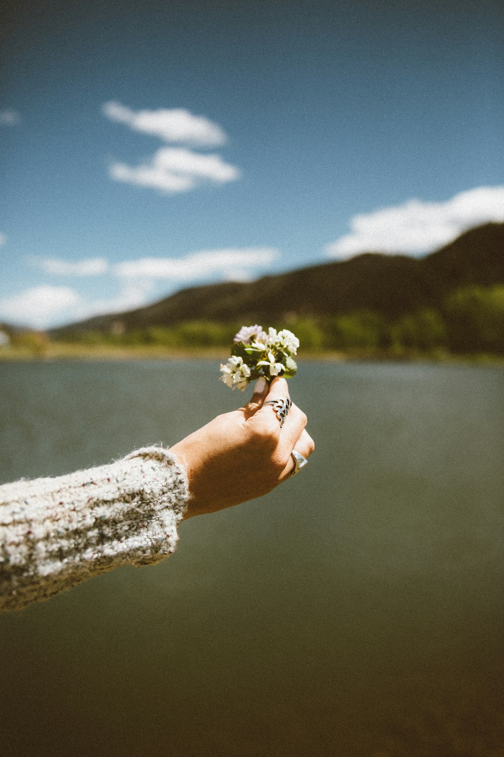 woman holding white petaled flowers