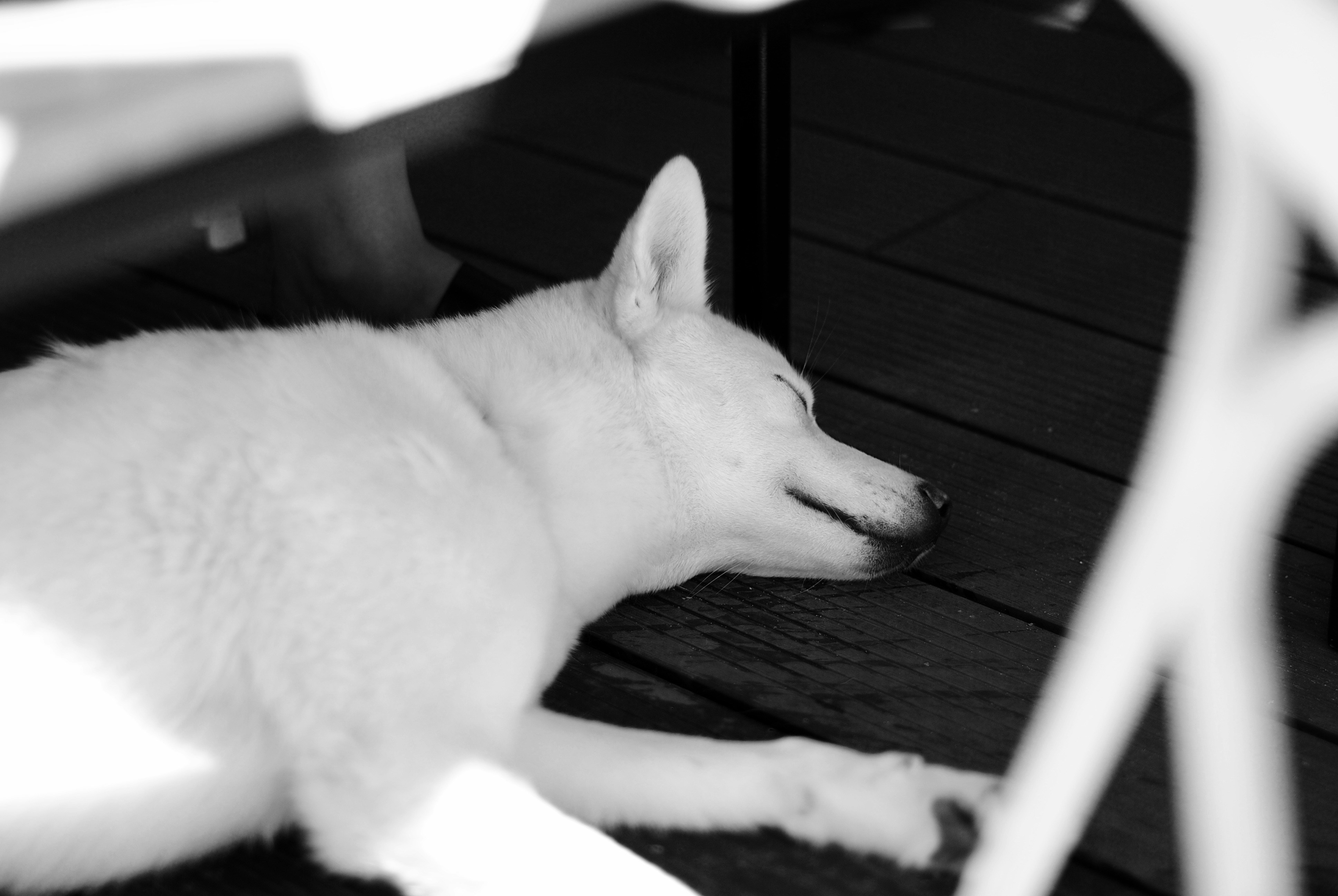 Free Unsplash photo from Erikas Plotkinas